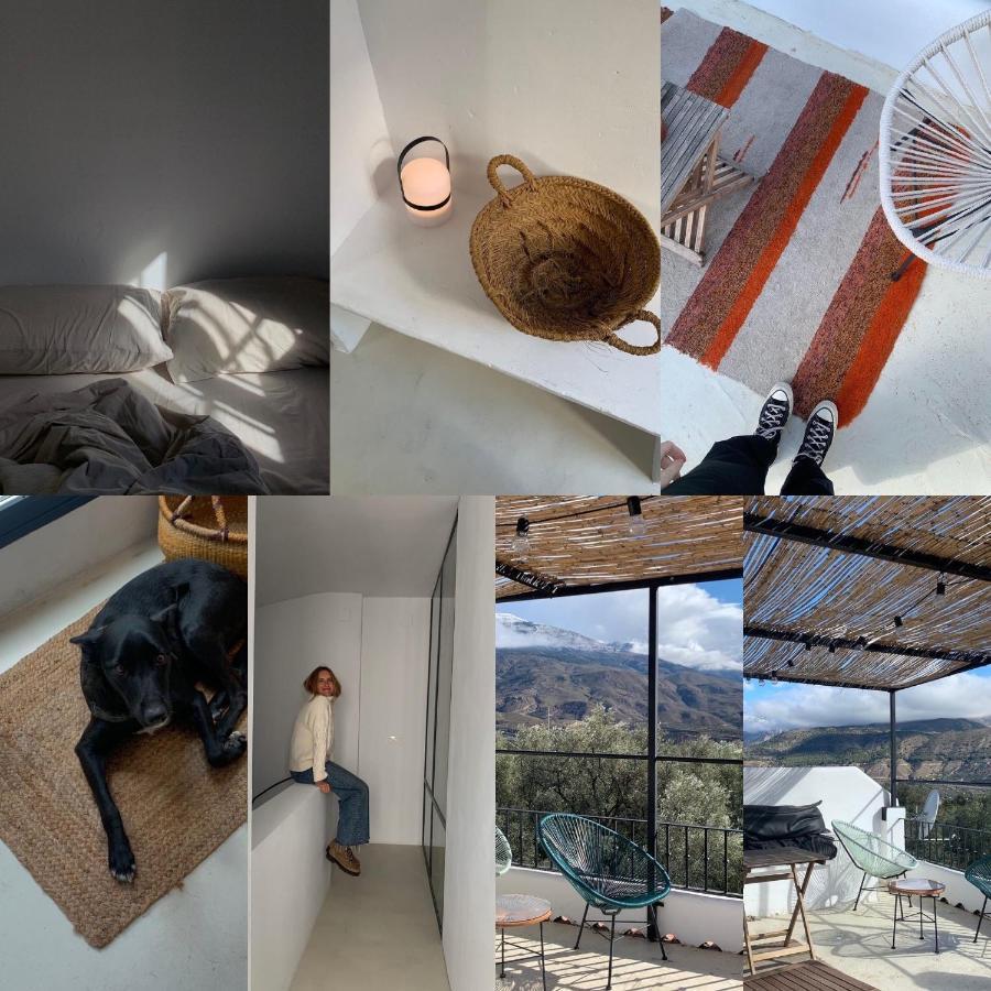 Casa Limon Bed & Breakfast Pinos del Valle ภายนอก รูปภาพ